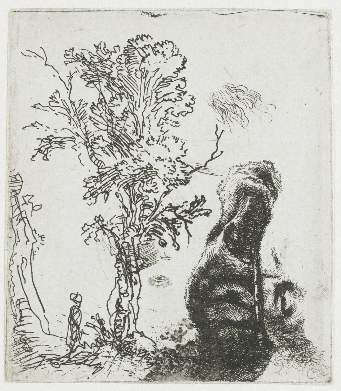 Studijní skica se stromem a horní částí Rembrandtovy hlavy s baretem od Rembrandt van Rijn