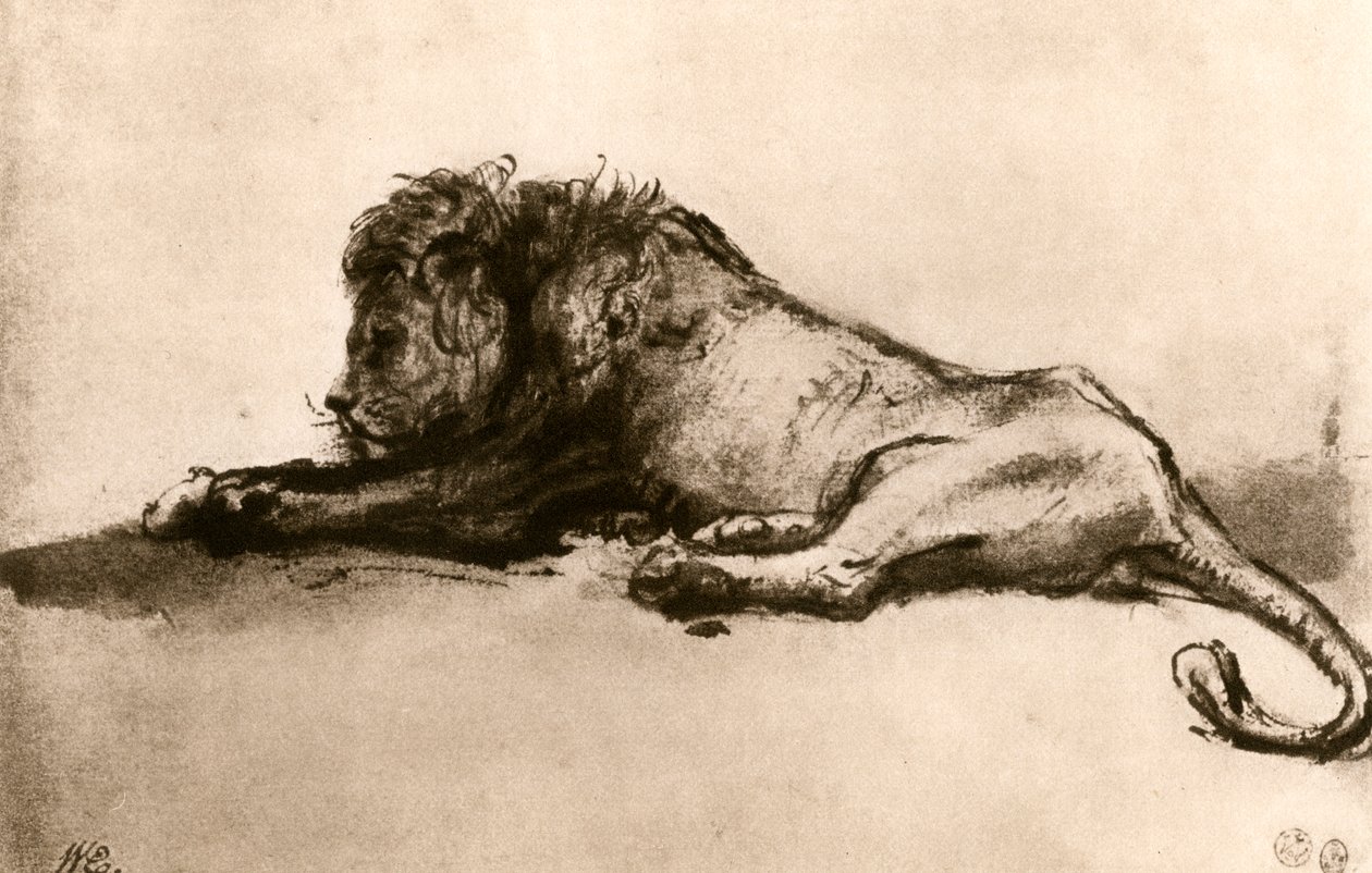 Studie lva, 1913. od Rembrandt van Rijn