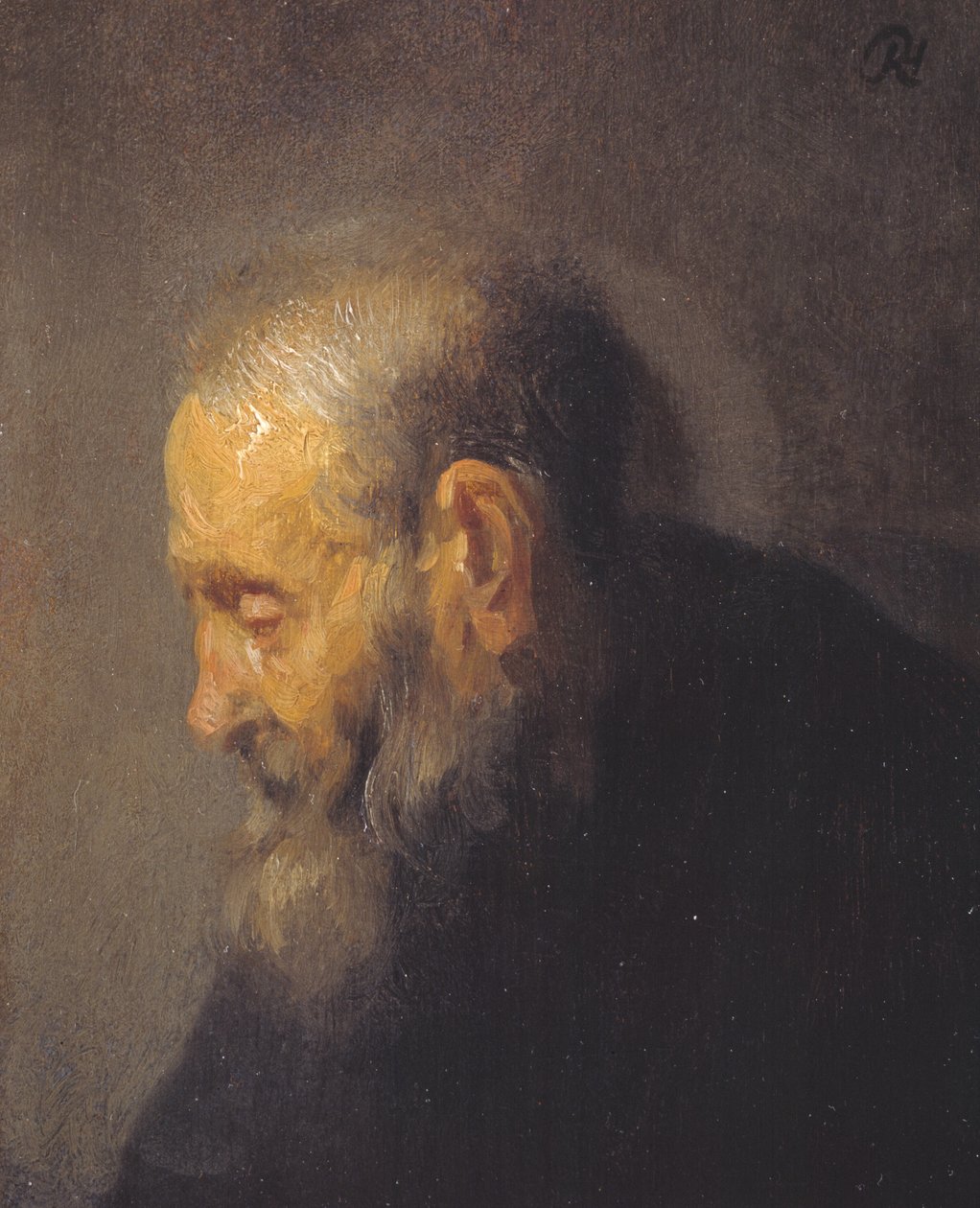 Studie starého muže v profilu od Rembrandt van Rijn