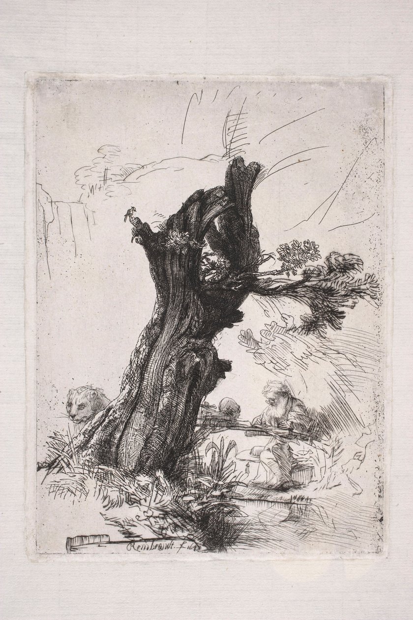 Svatý Jeroným píše u kmene vrby od Rembrandt van Rijn