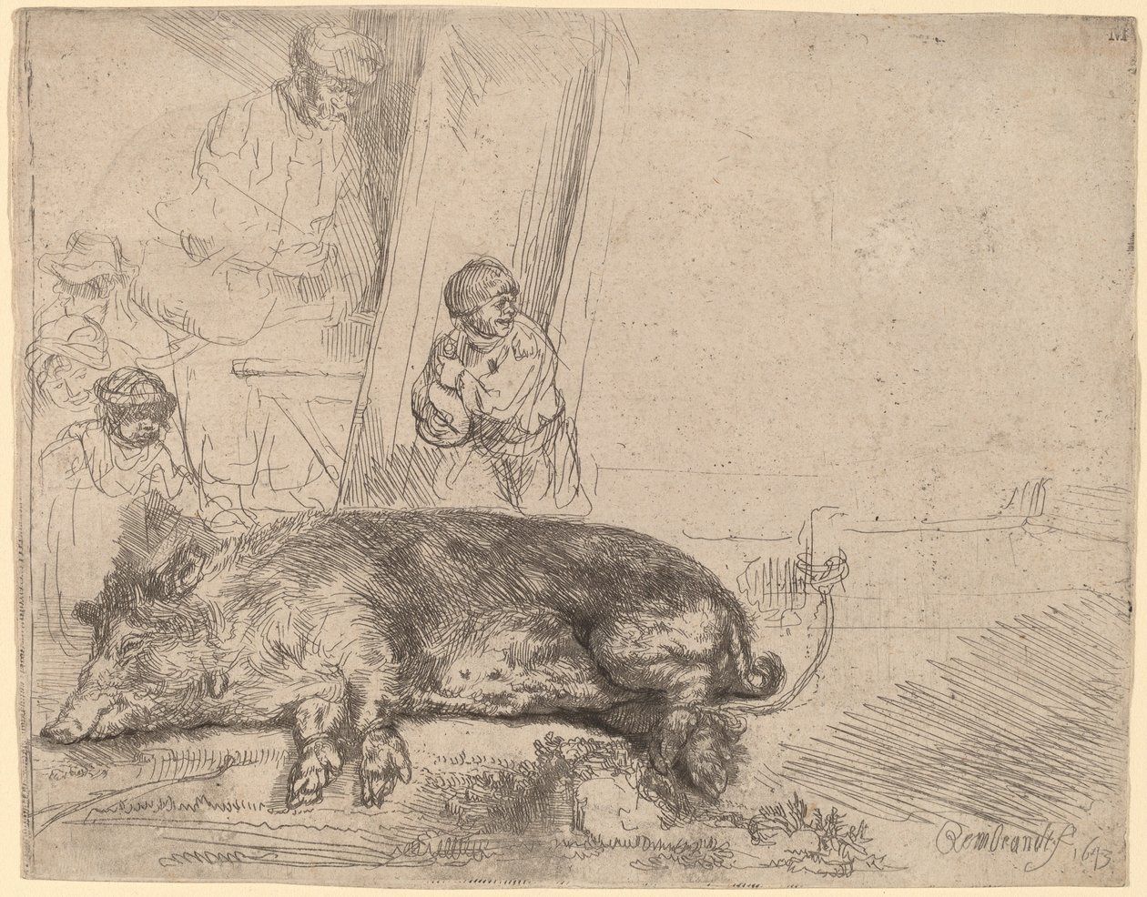 Prase od Rembrandt van Rijn