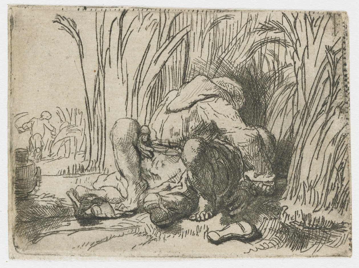 Mnich v kukuřičném poli Mnich v kukuřičném poli od Rembrandt van Rijn