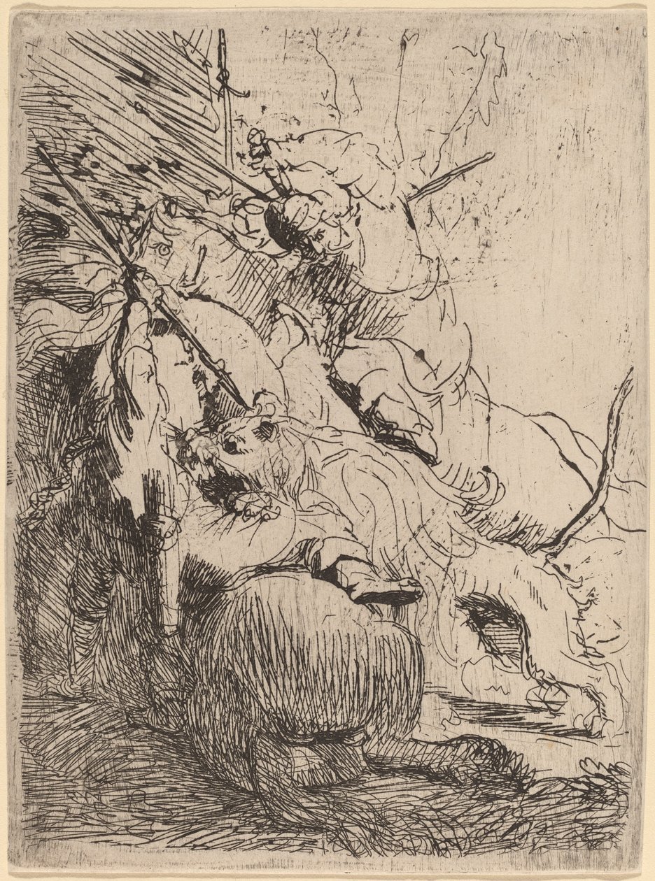 Lov malého lva (s jedním lvem) od Rembrandt van Rijn