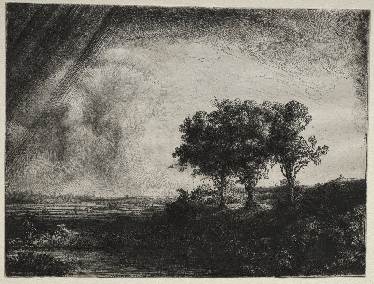 Tři stromy od Rembrandt van Rijn