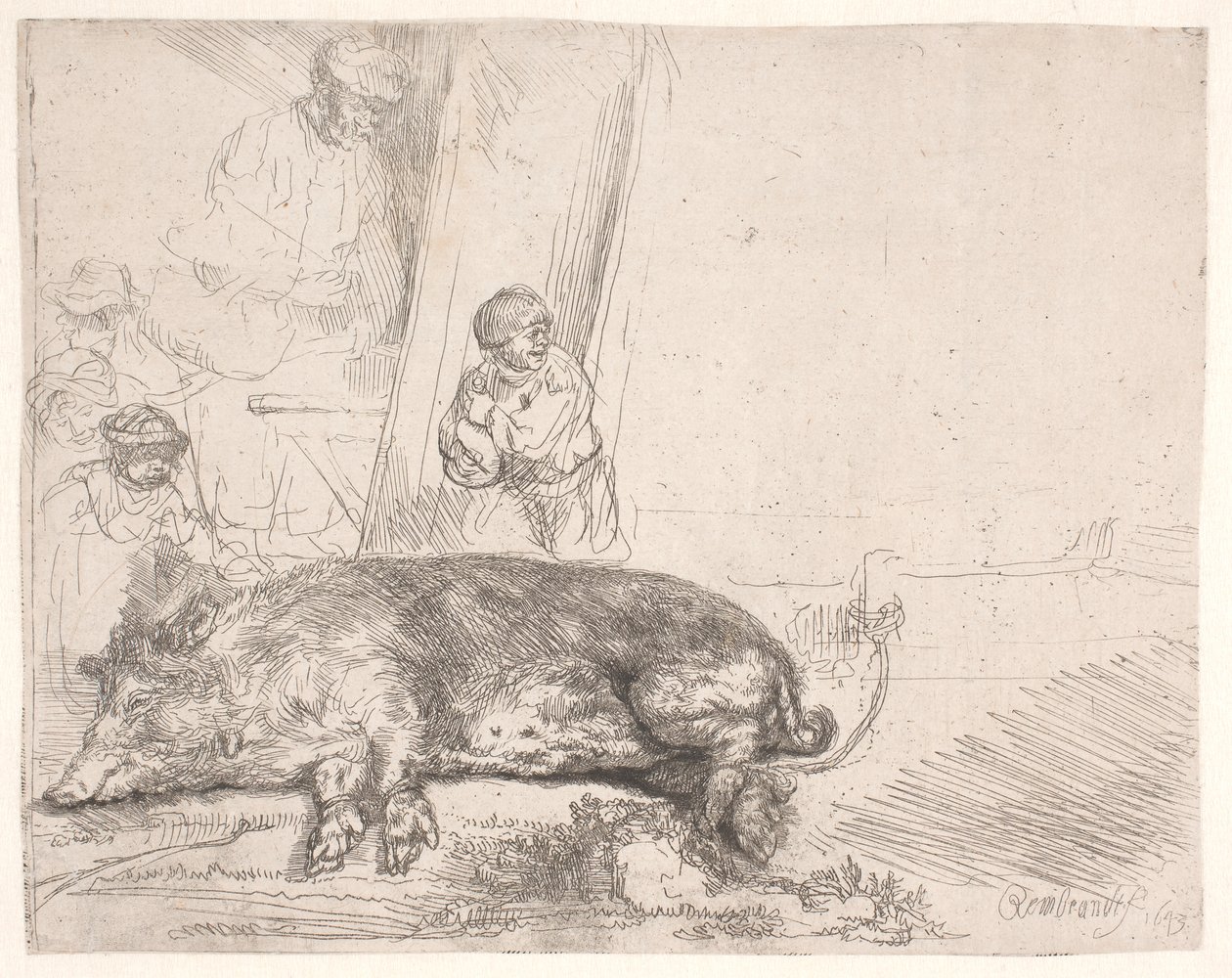 Prase od Rembrandt van Rijn