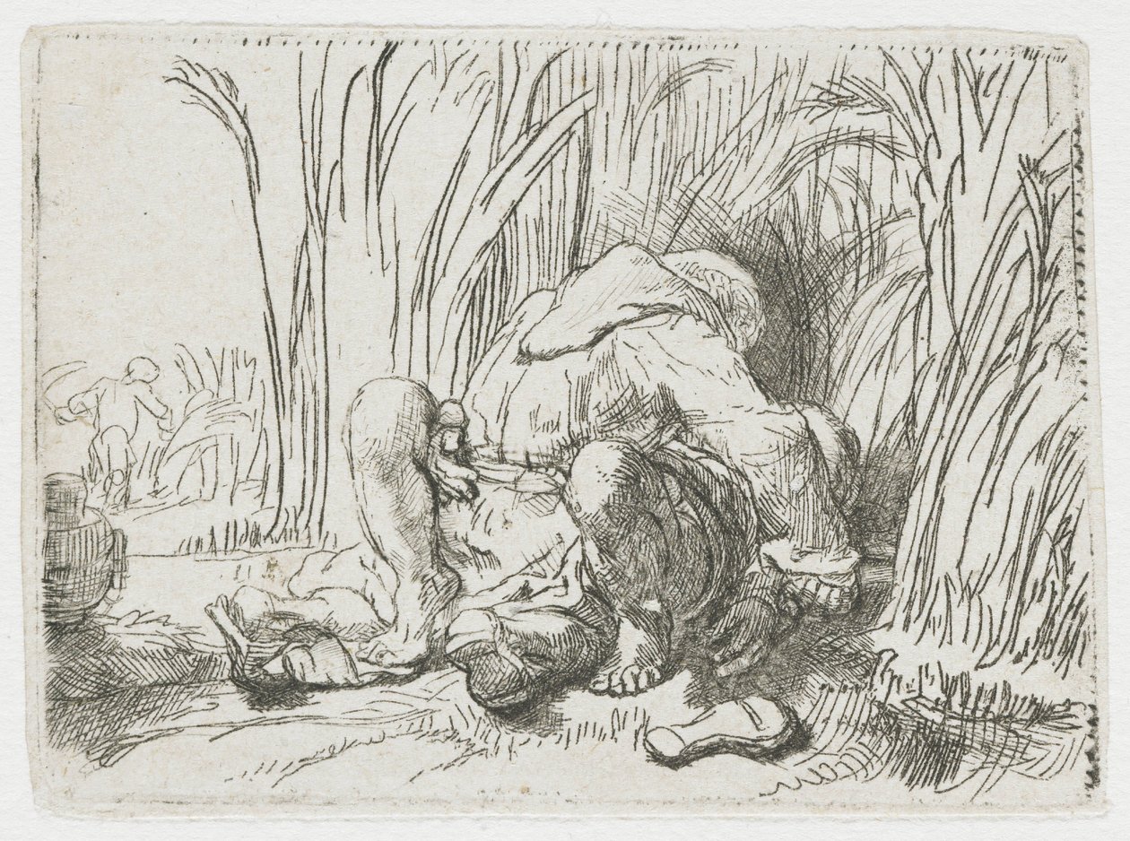Mnich v kukuřičném poli od Rembrandt van Rijn