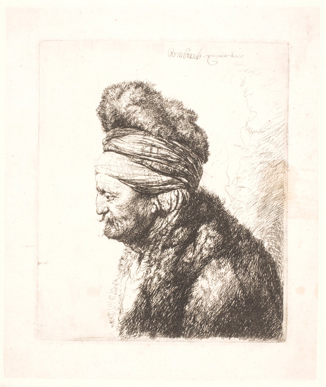 Druhá orientální hlava (Rembrandtův otec?) od Rembrandt van Rijn