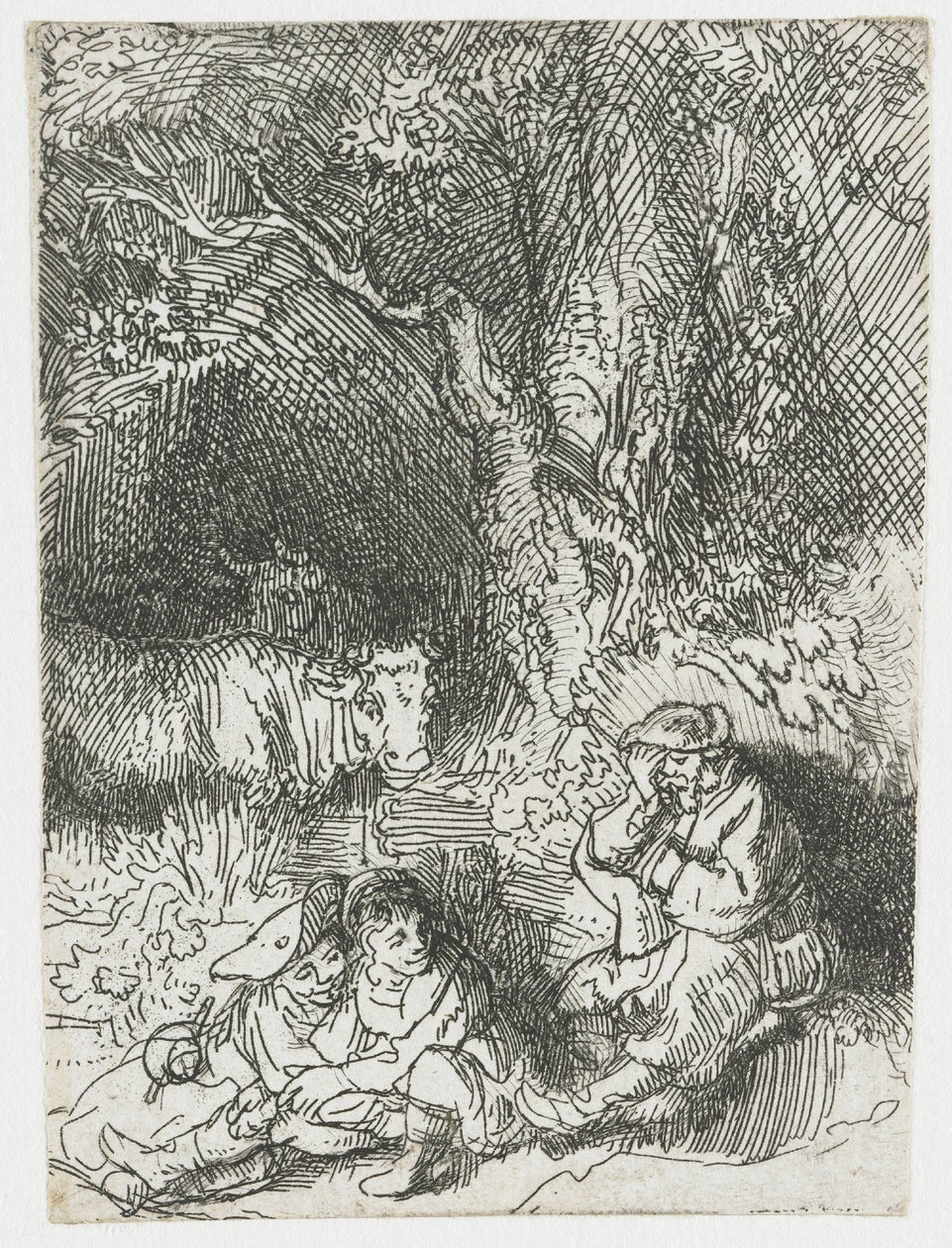 Spící pastýř od Rembrandt van Rijn