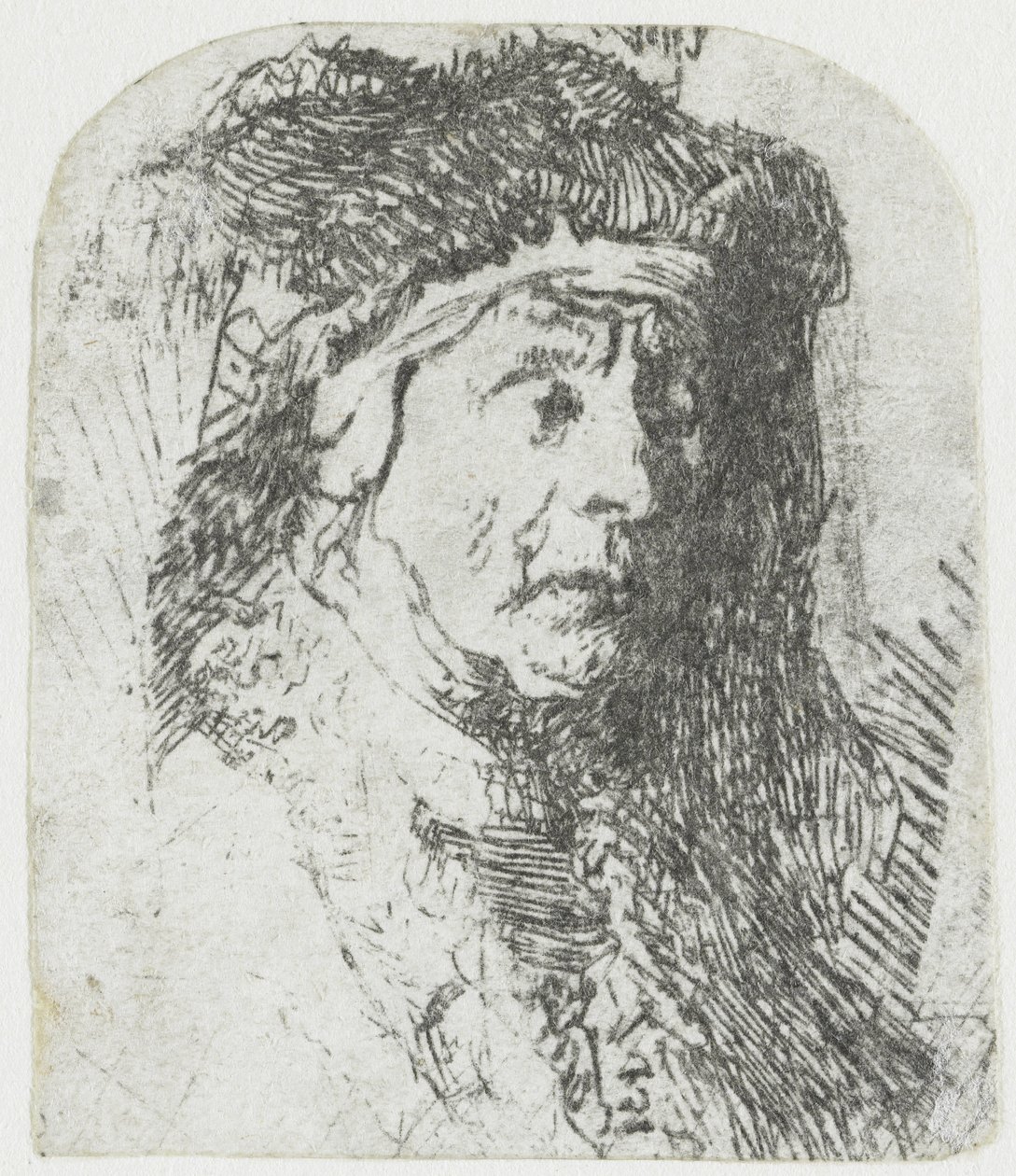 Žena v plášti zdobeném kožešinou Busta staré ženy v chlupatém plášti a těžké pokrývce hlavy od Rembrandt van Rijn