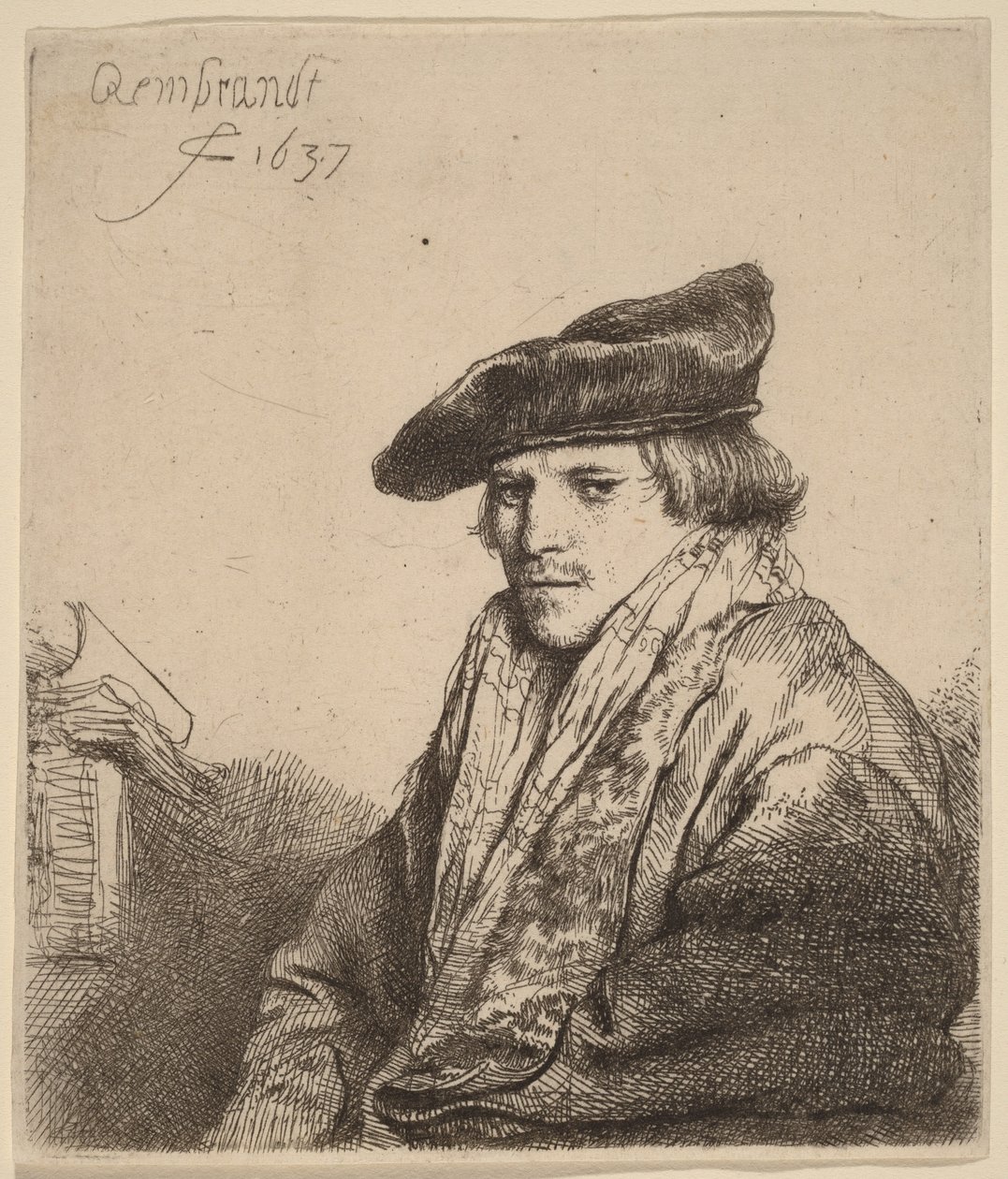 Mladík v sametové čepici (Petrus Sylvius) od Rembrandt van Rijn