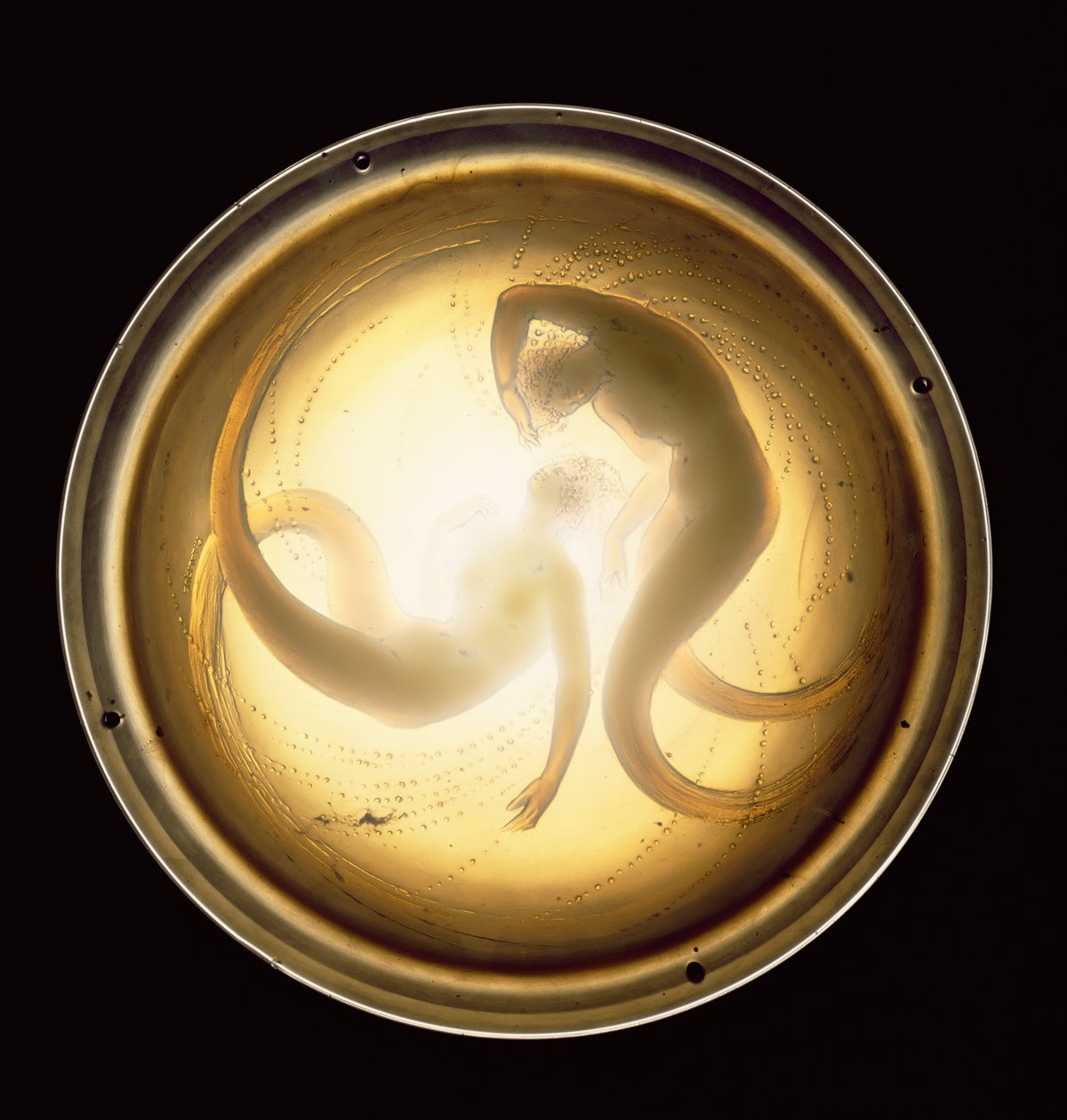 Stropní svítidlo Deux Sirenes (sklo) od Rene Jules Lalique