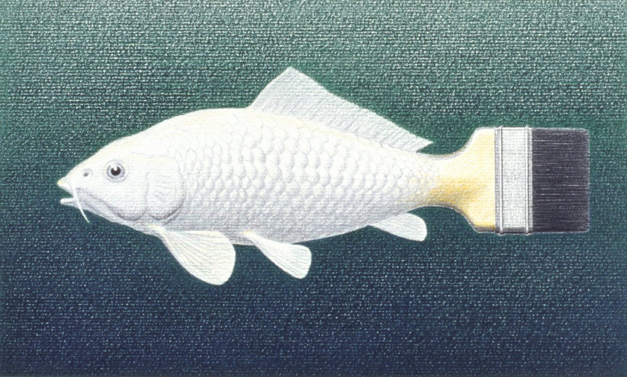 Brushfish, 2003, Kresba tužkou na papíře od Rene Boin