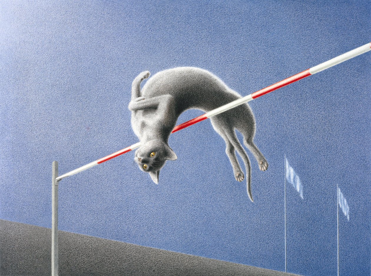 Skok od Rene Boin