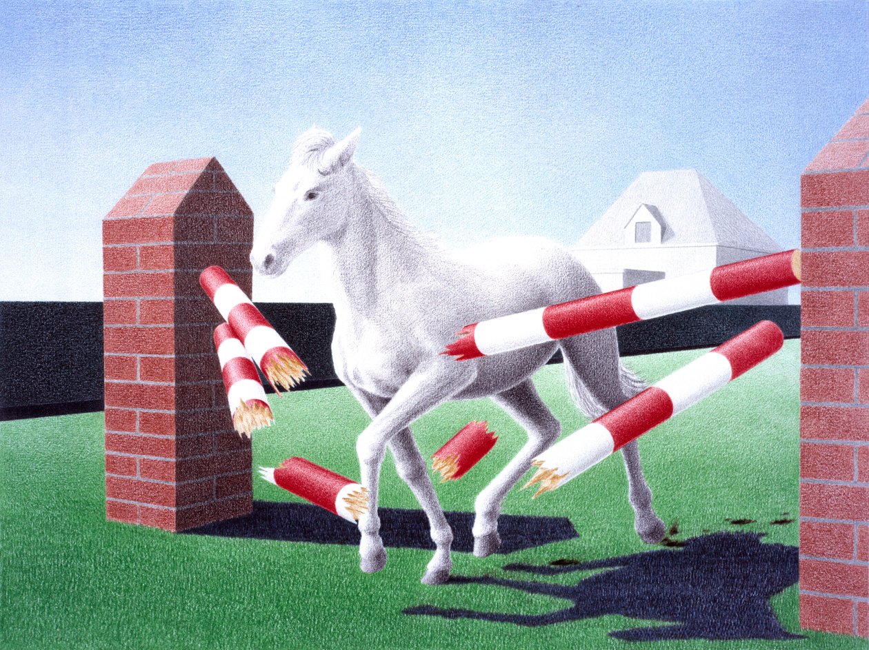 Překážka, 2004, Kresba tužkou na papíře od Rene Boin
