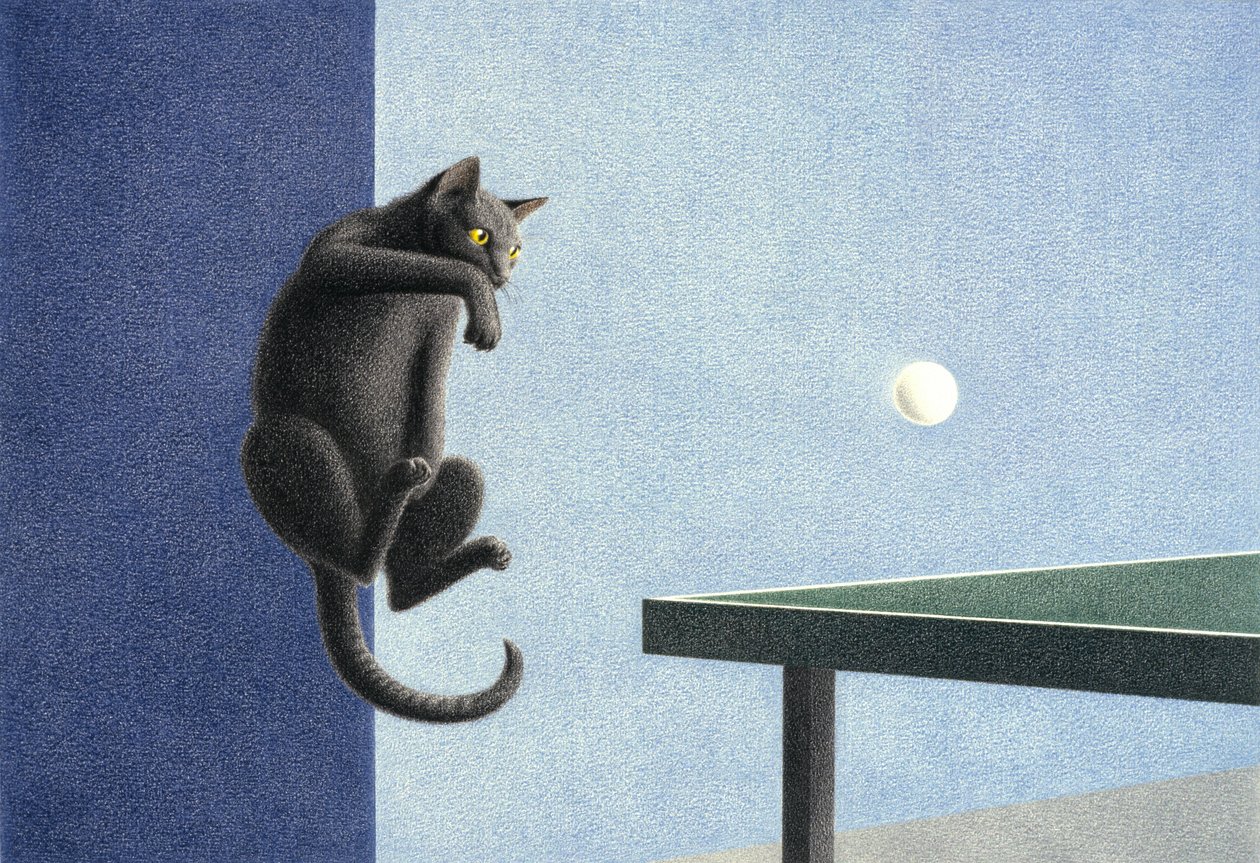 Ping pong od Rene Boin