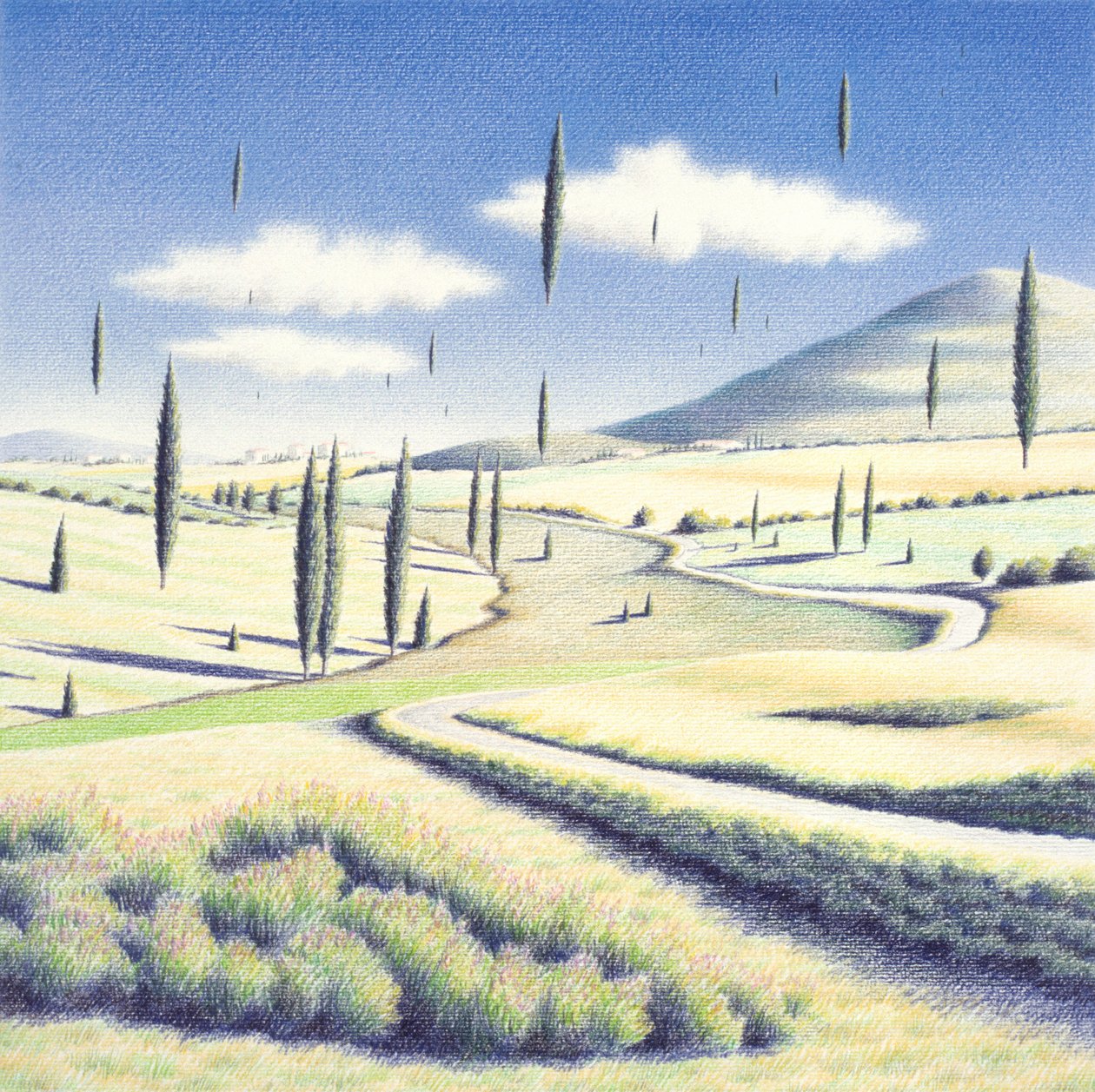 Toskánské stromy, 2005 , kolorovaná kresba tužkou na papíře od Rene Boin