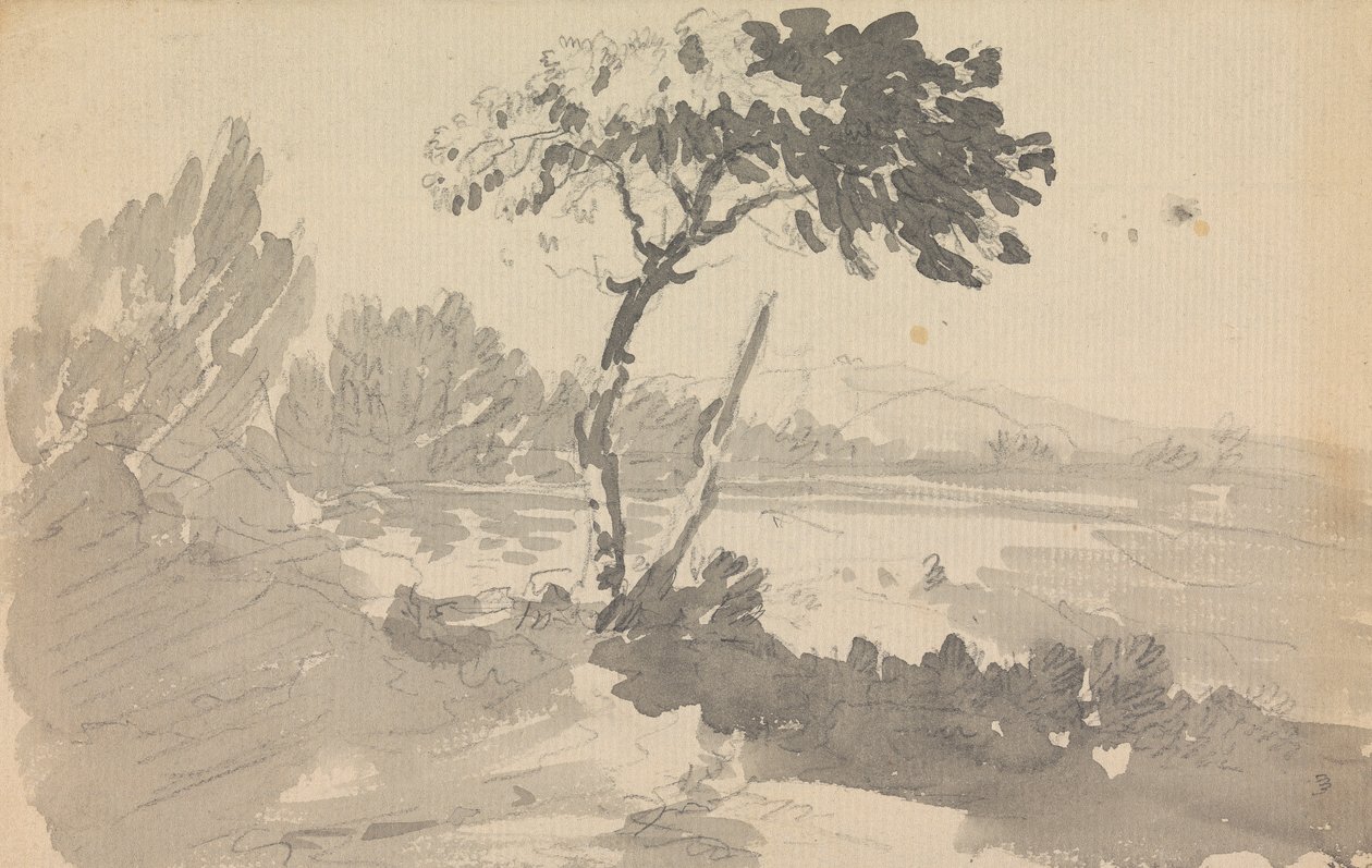 Strom a jezero od Rev. William Gilpin