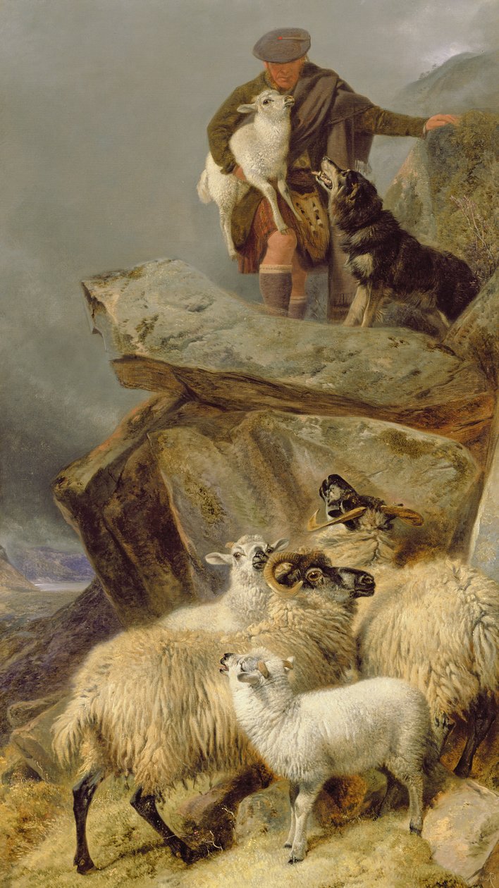 Záchrana, 1883 od Richard Ansdell