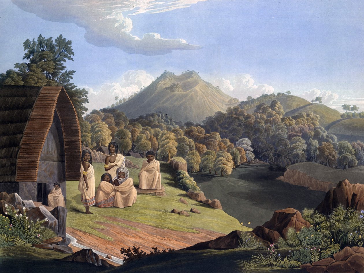 Deska 5 z pohledu Richarda Barrona „Pohled v Indii, hlavně mezi Neelgherry Hills“ od Richard Barron