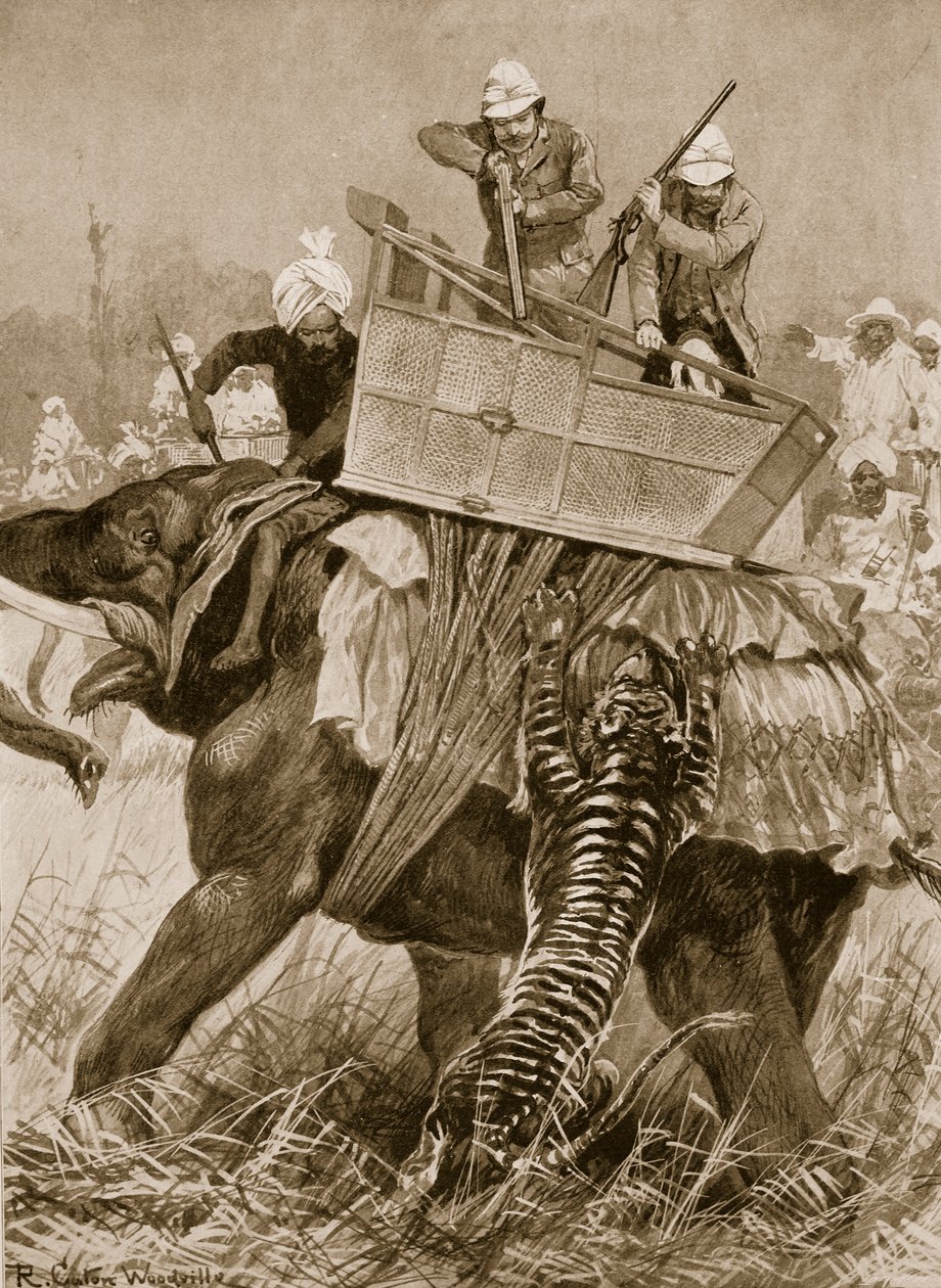 Návštěva prince z Walesu v Indii, 1876: Princův slon nabitý tygrem v Nepaul Terai, 21. února, z „The Illustrated London News“, 1901 od Richard Caton Woodville