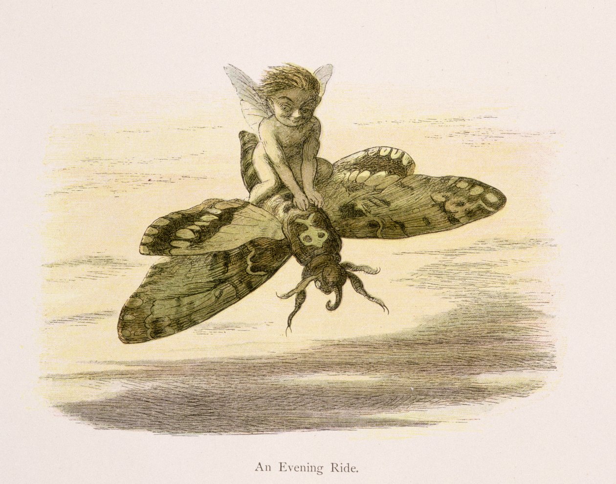 Večerní projížďka, ilustrace z knihy "V říši pohádek: Williama Allinghama a Andrewa Langa: "Série obrázků ze světa skřítků". od Richard Doyle