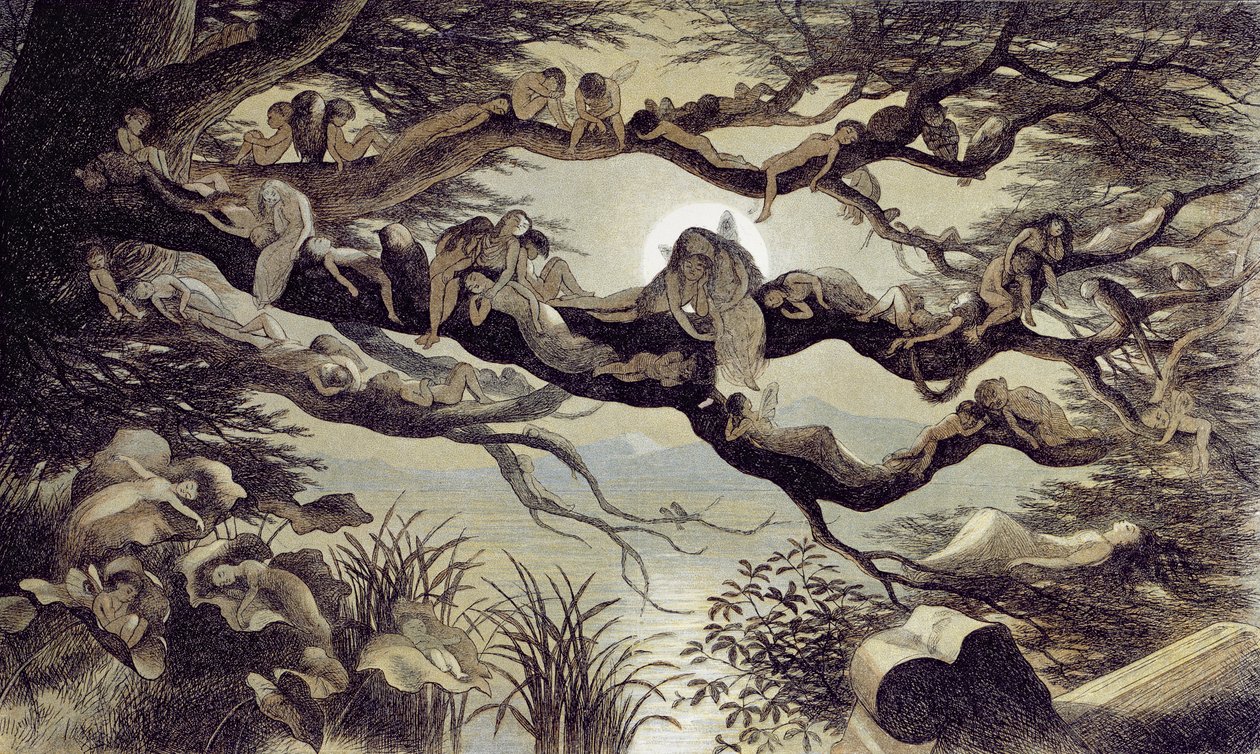 Spánek v měsíčním světle od Richard Doyle
