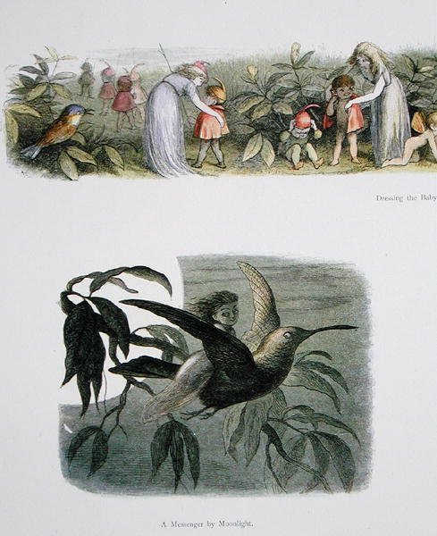 Dressing the Baby Elves a A Messenger by Moonlight, ilustrace z In Fairyland: A Series of Pictures from the Elf-World od Williama Allinghama a Andrewa Langa (viz také 222021) od Richard Doyle