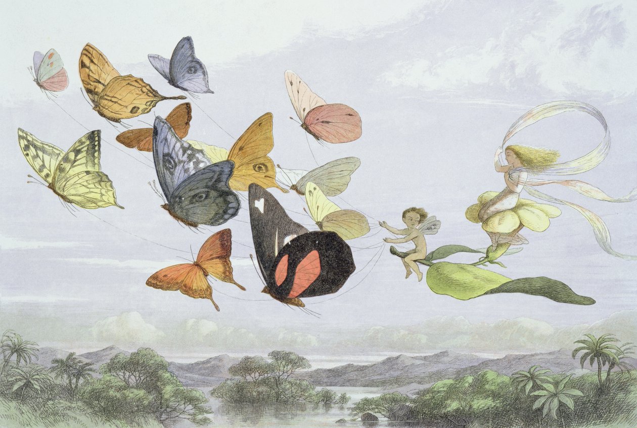 Kočár královny víl, ilustrace z knihy „V říši pohádek: série obrázků ze světa elfů“ od Williama Allinghama a Andrewa Langa od Richard Doyle