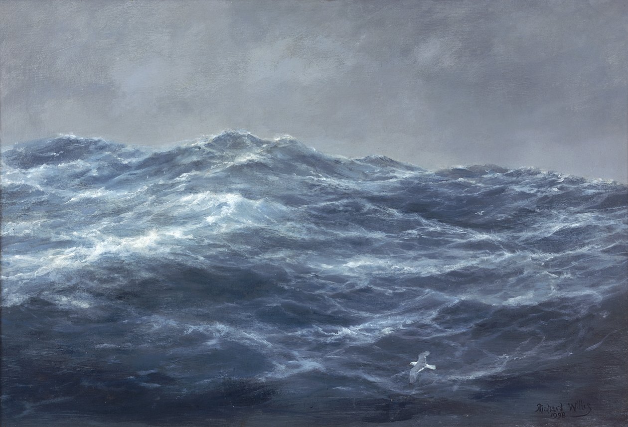 Cesta racka od Richard Willis