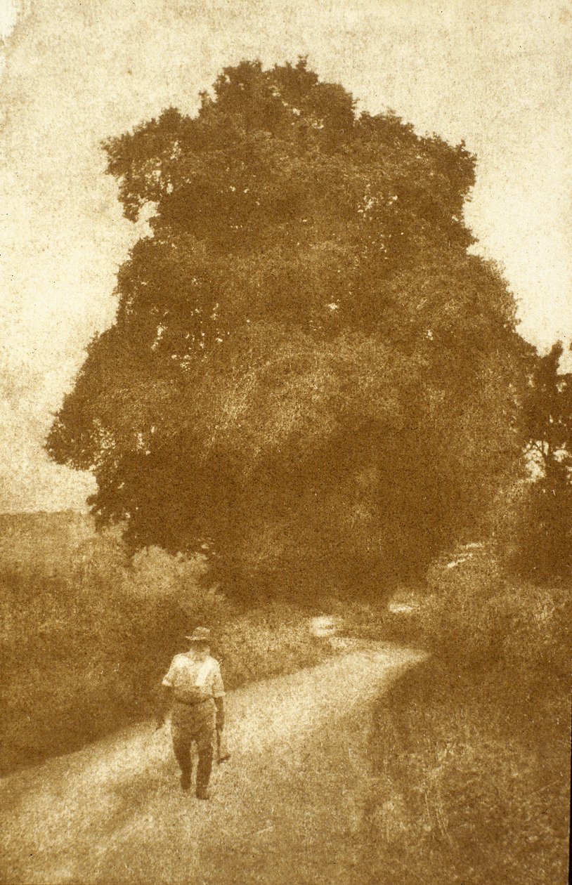 Surrey od John Pardon