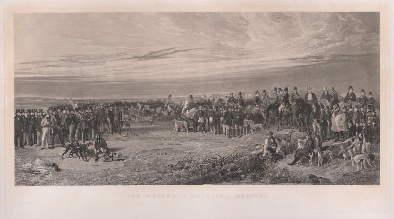 Coursingové setkání ve Waterloo od Richard Ansdell