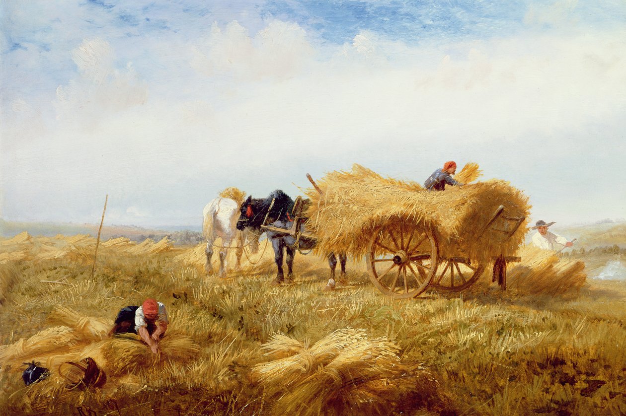 Sklizeň, poblíž Boulogne-sur-Mer od Richard Beavis