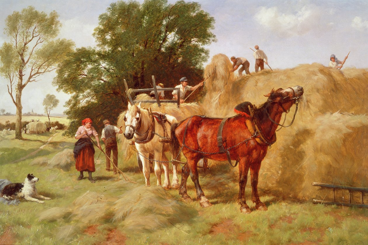 Haymakers od Richard Beavis