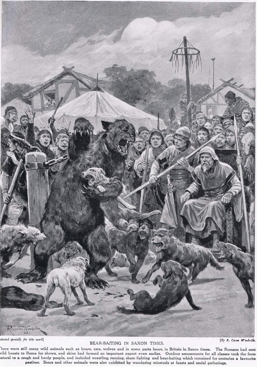 Medvědí návnady v saských dobách, z „Hutchisonova příběhu britského národa“, kolem roku 1920 od Richard Caton Woodville