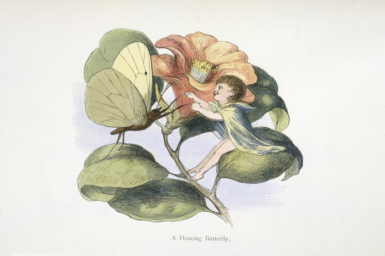 Tančící motýl od Richard Doyle