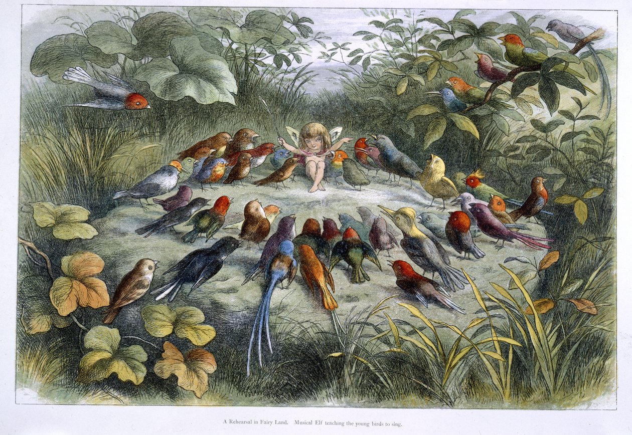 Elf a ptáci od Richard Doyle