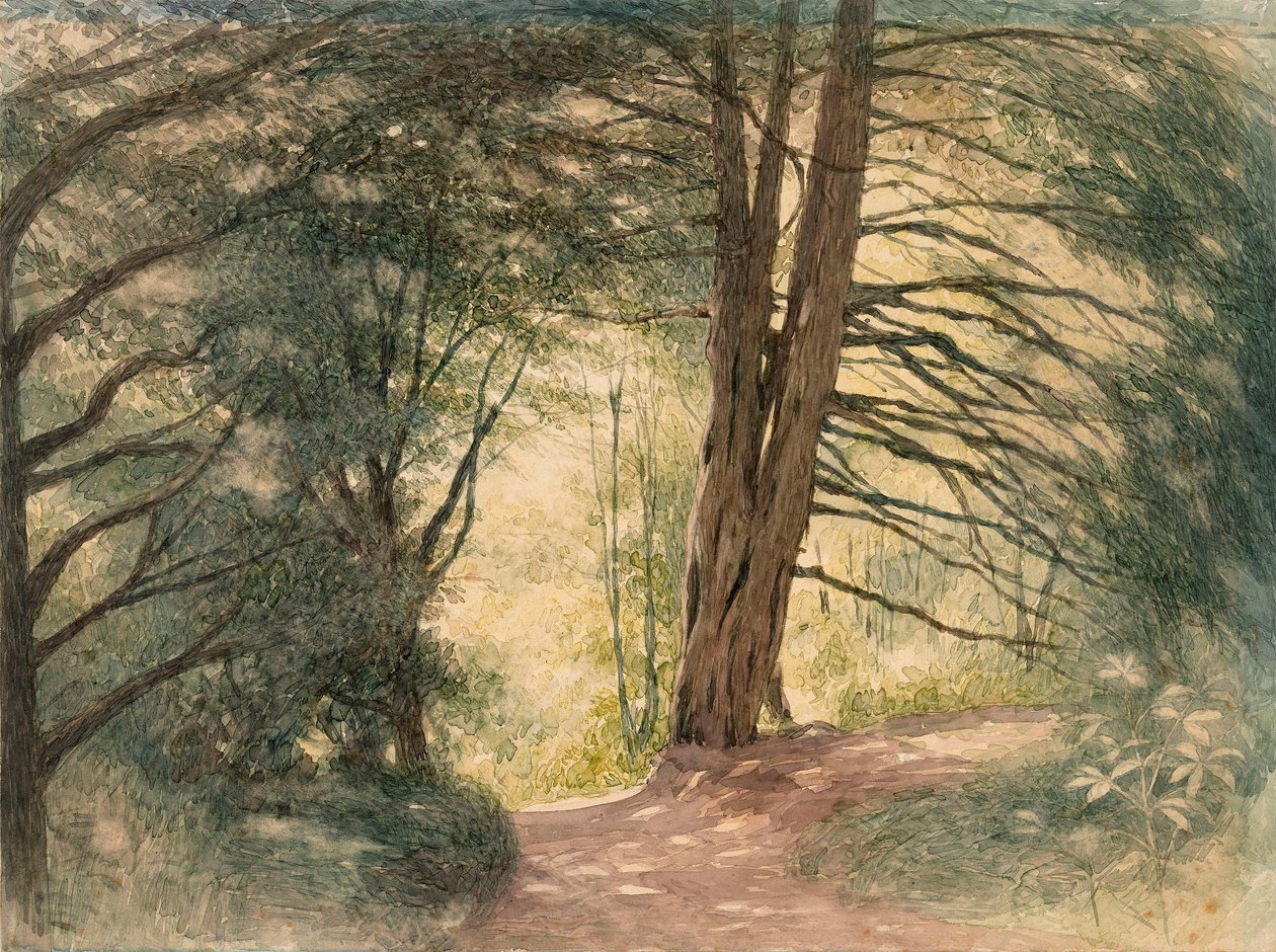 Box Hill, Surrey od Richard Doyle