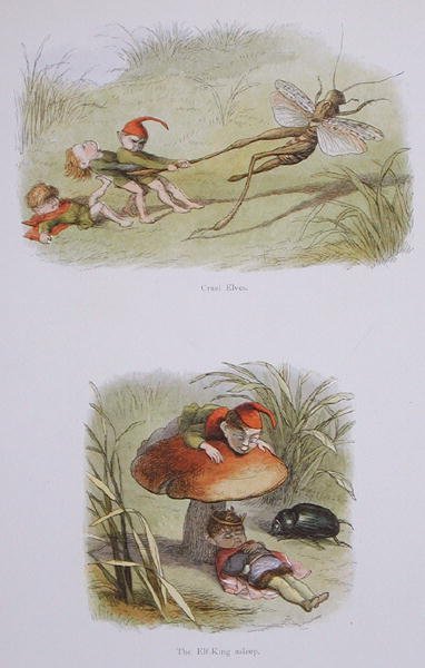 Krutí elfové a Spící král elfů, ilustrace z knihy V říši pohádek: Williama Allinghama a Andrewa Langa (barevná litografie). od Richard Doyle