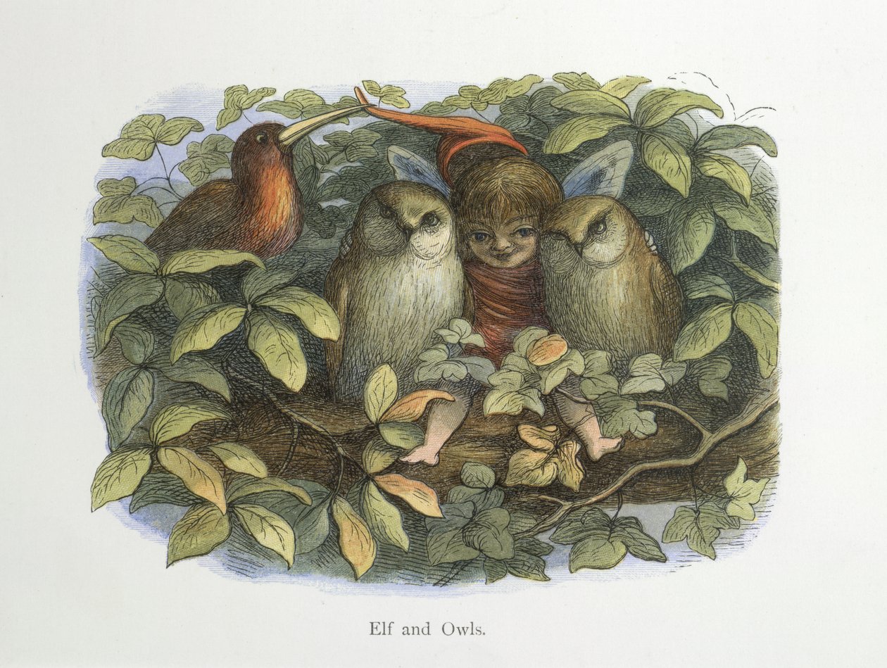 Elf a sovy od Richard Doyle