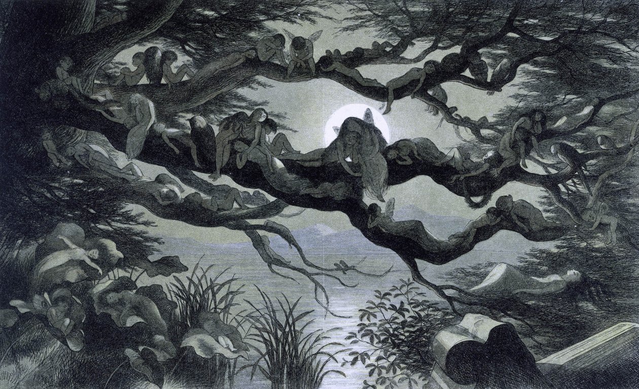 Víly, nymfy a elfové odpočívající v měsíčním světle na větvi? Ilustrace ""V říši pohádek. Série obrázků ze světa elfů"" od Richarda Doyla 1869-1870 The British Library Institution Reference: Shelfmark ID: 1876 e18 