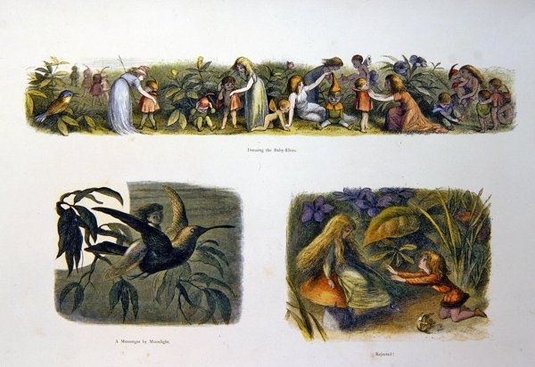 V zemi víl od Richard Doyle