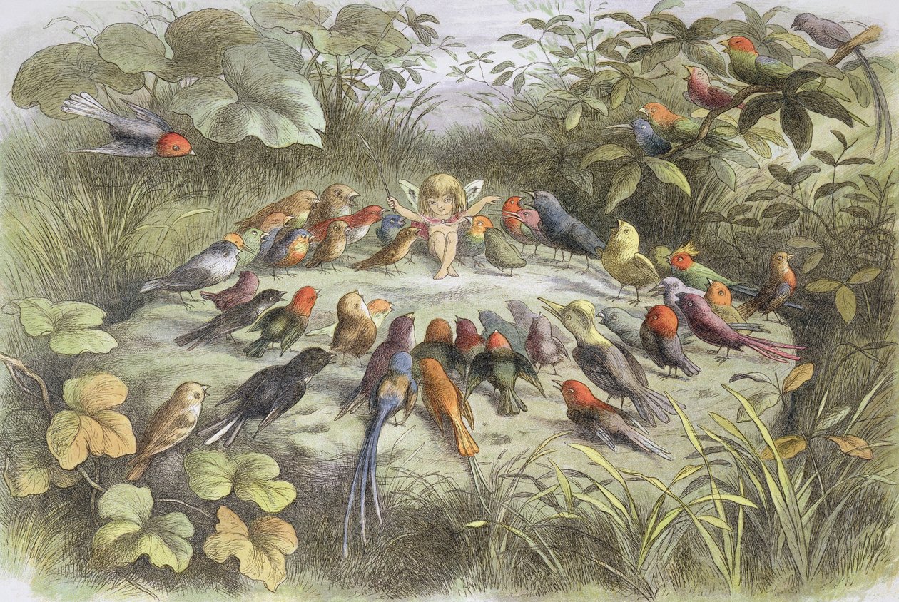 Hudební zkouška v pohádkové zemi (ilustrace z "V pohádkové zemi. Obrázky z pohádkového světa", William Allingham a Andrew Lang od Richard Doyle
