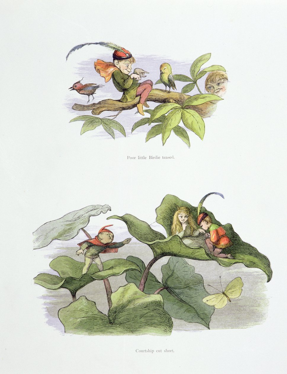 Ubohý Ptáček škádlený a námluvy zkrácené, ilustrace z knihy "V říši pohádek": Williama Allinghama a Andrewa Langa. od Richard Doyle