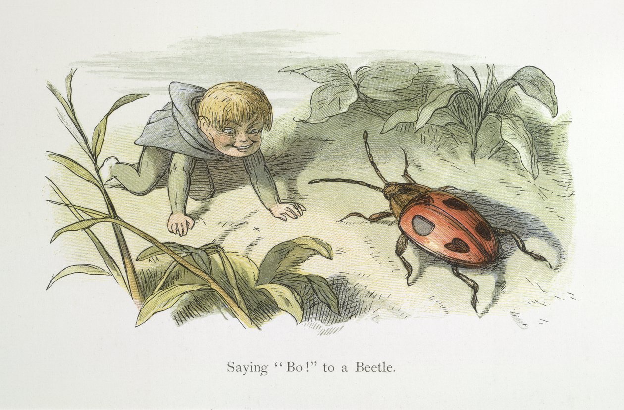 Říct ne! na brouka od Richard Doyle