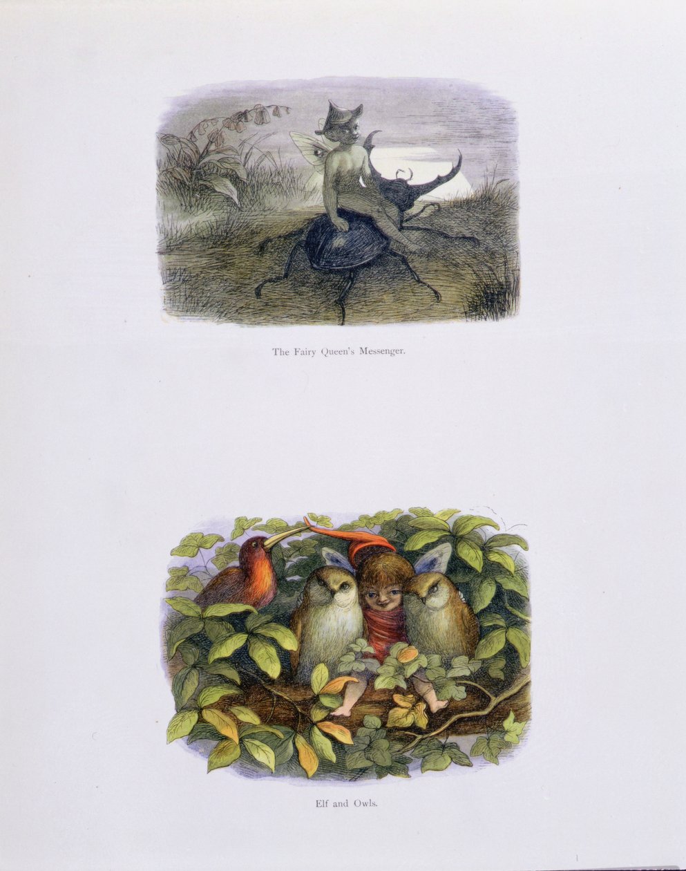 Posel královny víl a skřítek a sovy, ilustrace z knihy V říši pohádek: Williama Allinghama a Andrewa Langa: Série obrázků ze světa skřítků. od Richard Doyle