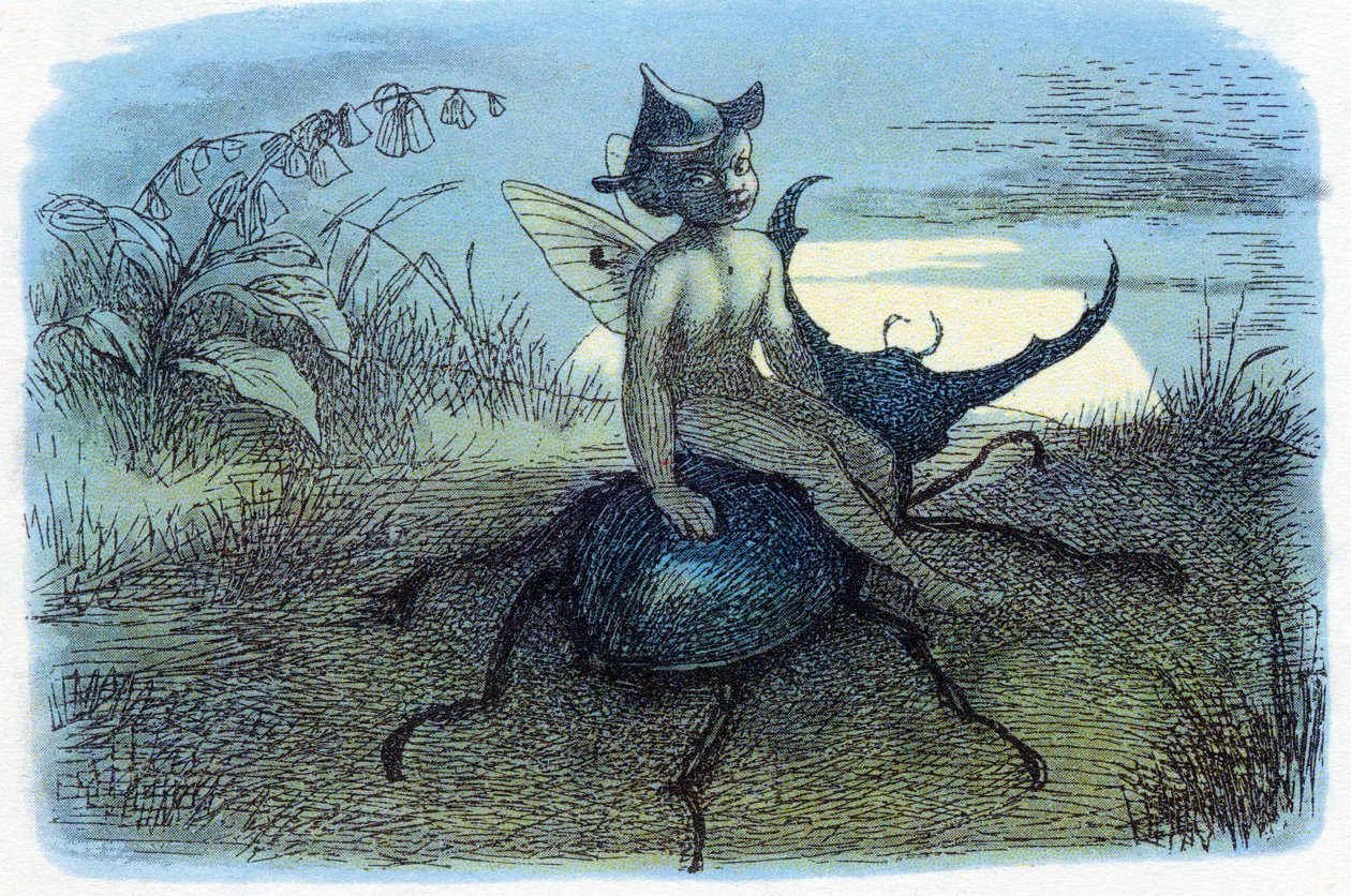 Posel královny víl, c1870 od Richard Doyle