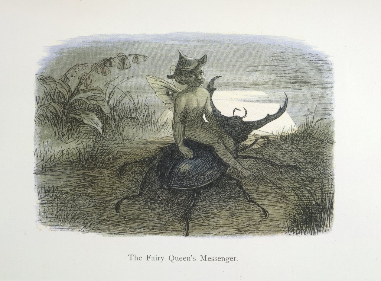Posel královny víl od Richard Doyle