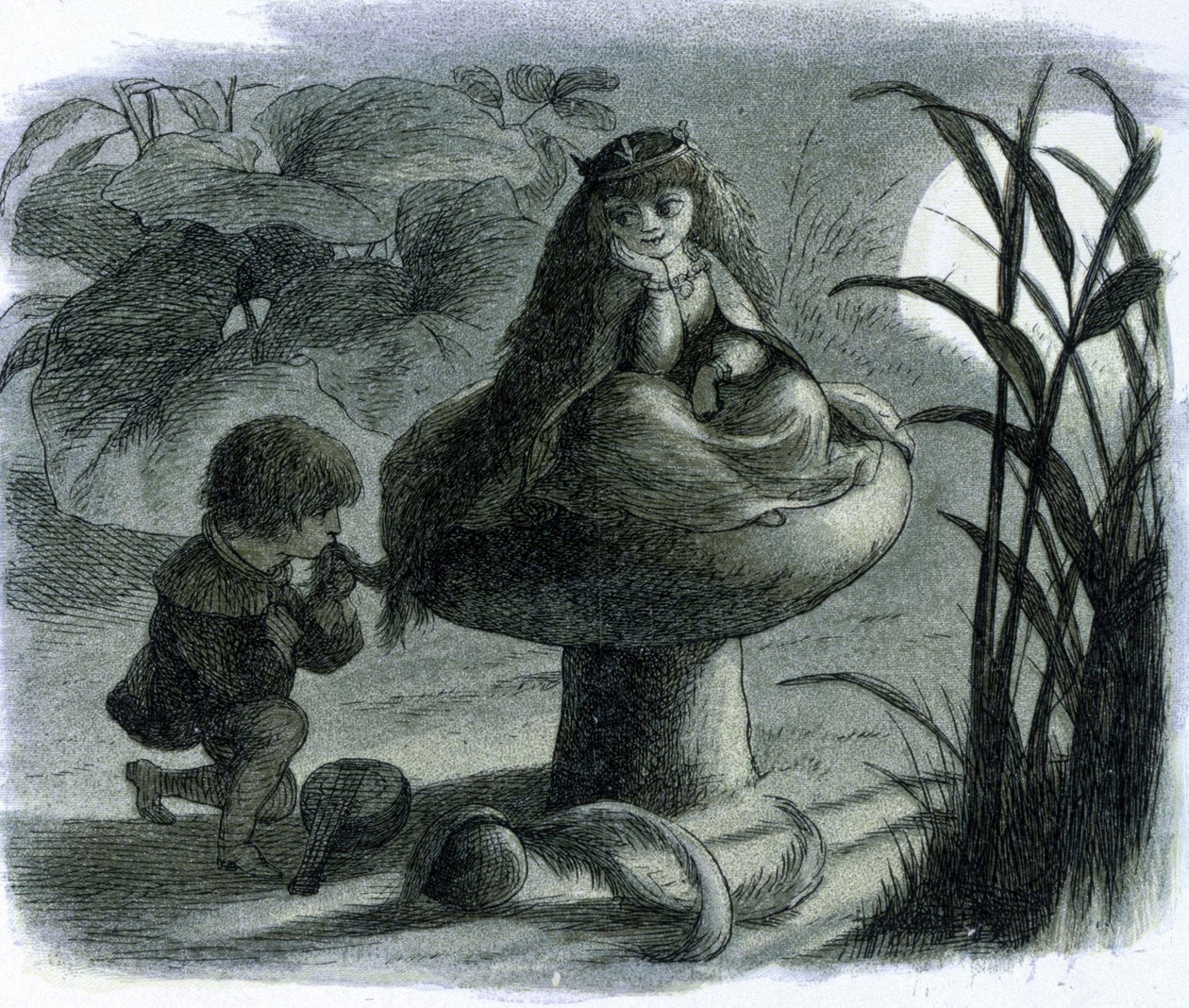 Vodní víle sedící na houbě se dvoří milenec. Ve „Světu víl““ od Richarda Doyla od Richard Doyle