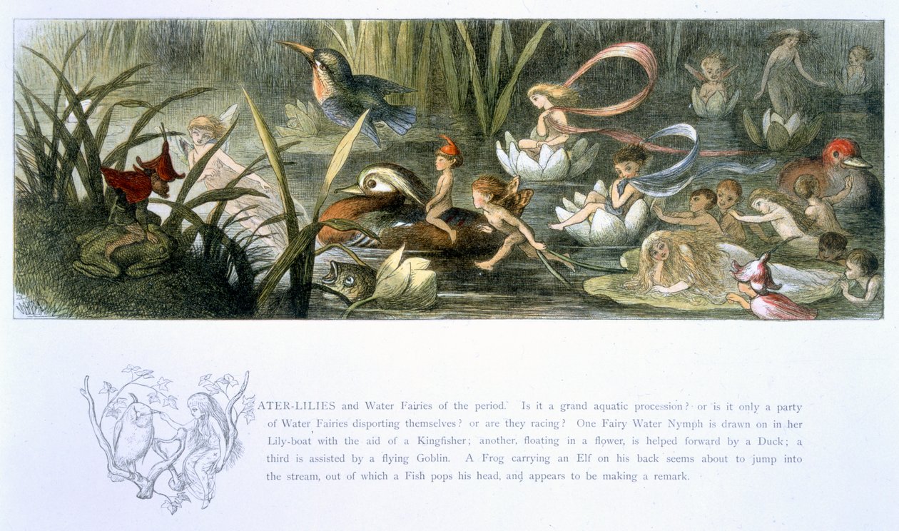 Lekníny a vodní víly, ilustrace z 