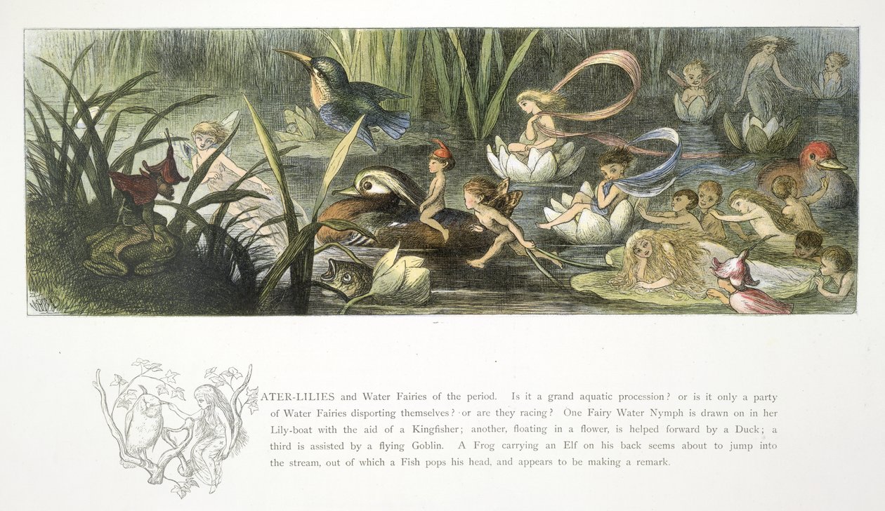 Lekníny a vodní víly od Richard Doyle